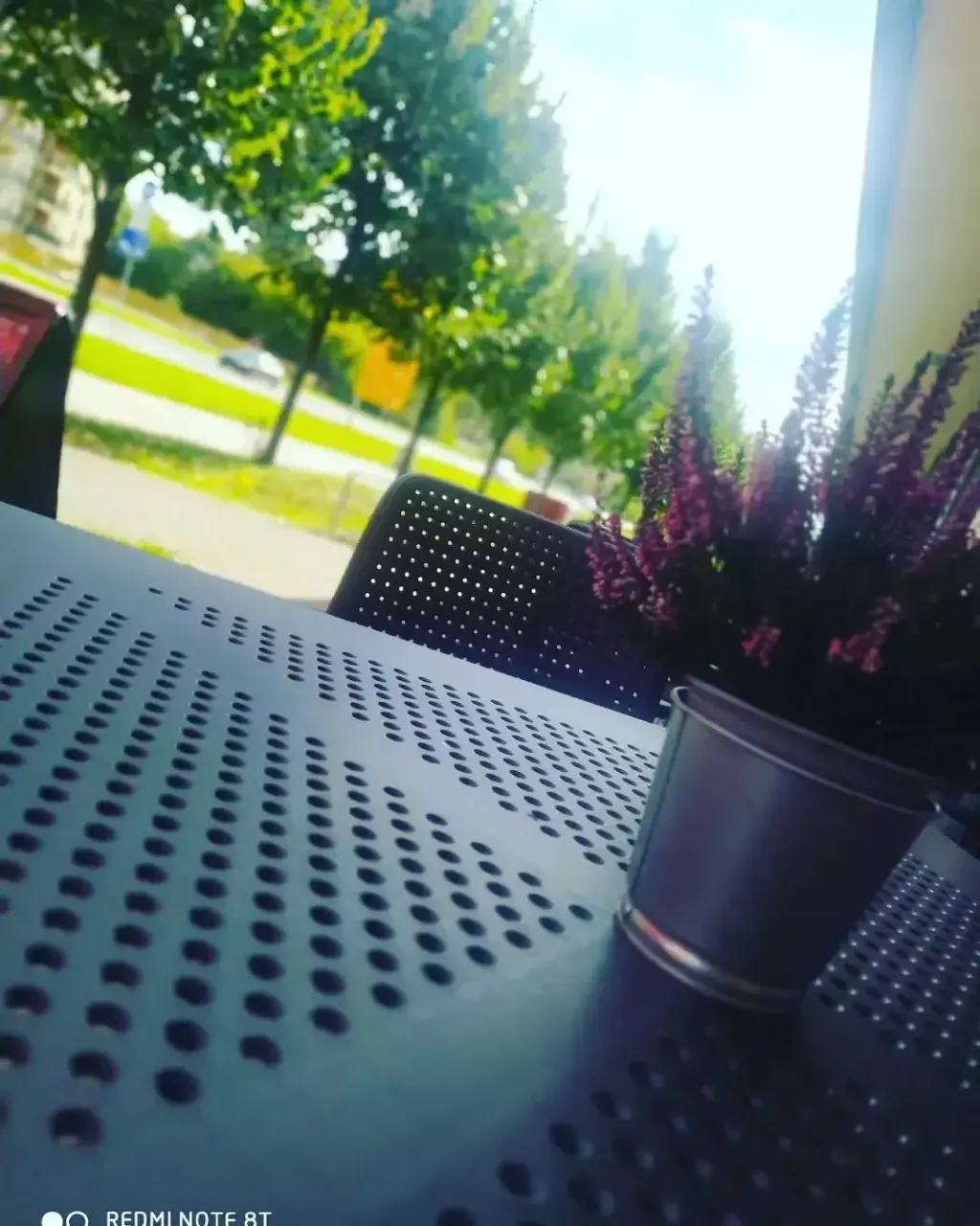 Stolik w ogródku: zieleń, słońce i wrzosy na stole
